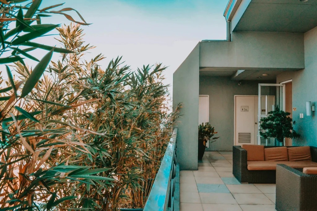 Tall bamboo plants and greenery arranged along a modern balcony with Outdoor Living Space Ideas.