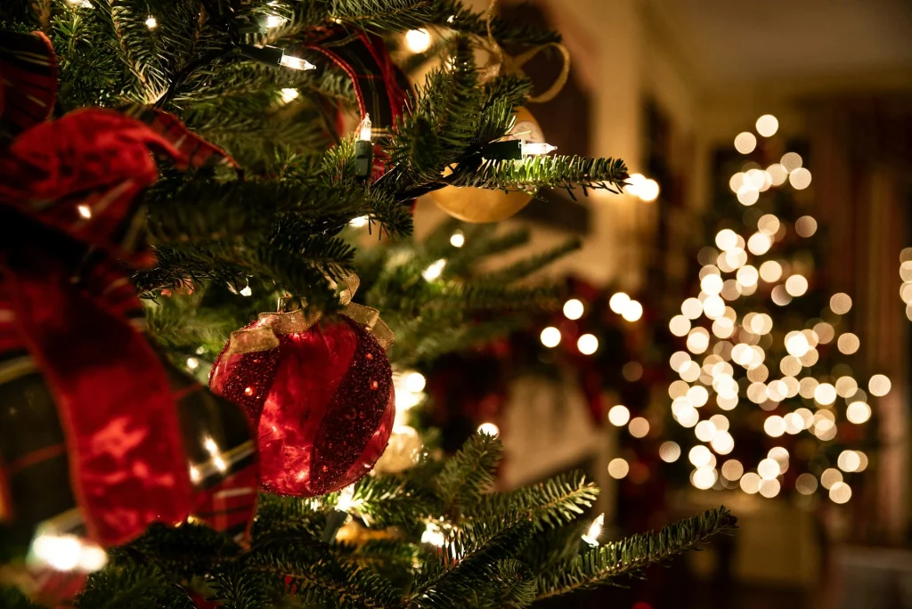 Warm white Christmas light ideas glowing on an indoor Christmas tree