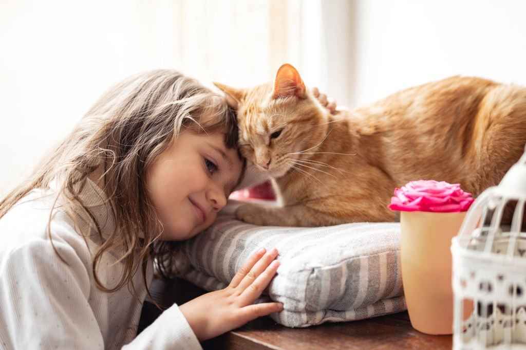 What to Do If Your Cat Is Coughing and Sneezing
