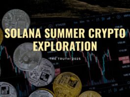 Solana Summer Crypto Exploration