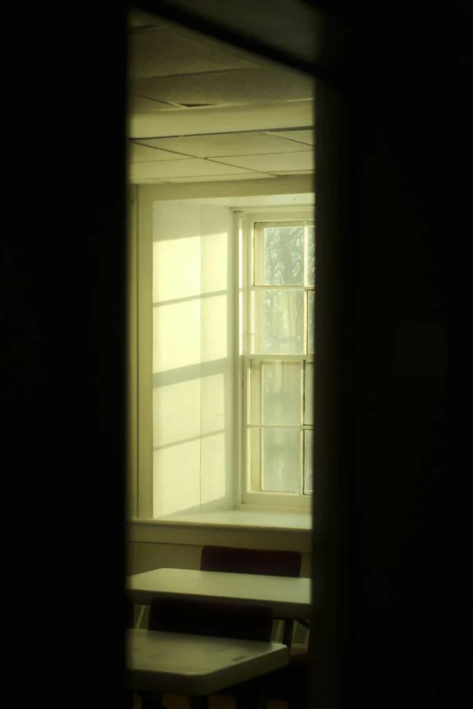 Disadvantages of home window tinting and reduced natural light